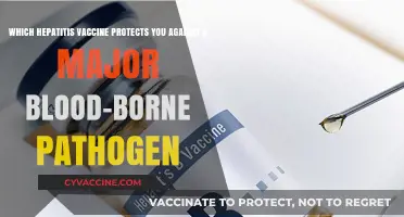 Hepatitis B Vaccine: Your Shield Against a Major Blood-Borne Pathogen