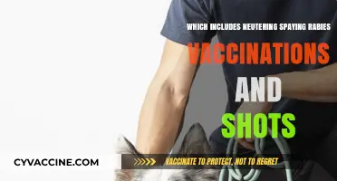 Essential Pet Care: Neutering, Spaying, Rabies Vaccines, and Shots Explained