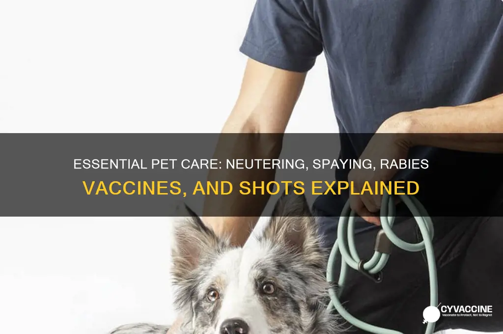 which includes neutering spaying rabies vaccinations and shots
