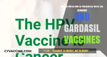 Cervarix and Gardasil Vaccines: Preventing HPV Infections and Cervical Cancer