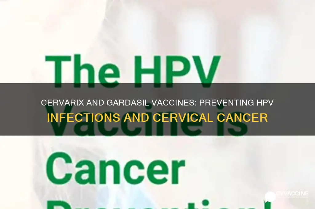 which infection is prevented with the cervarix and gardasil vaccines