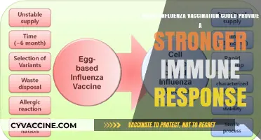 Boosting Immunity: Comparing Influenza Vaccines for Stronger Protection