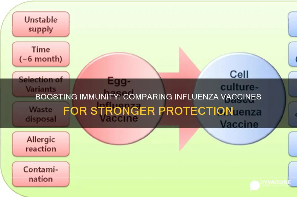 which influenza vaccination could provide a stronger immune response