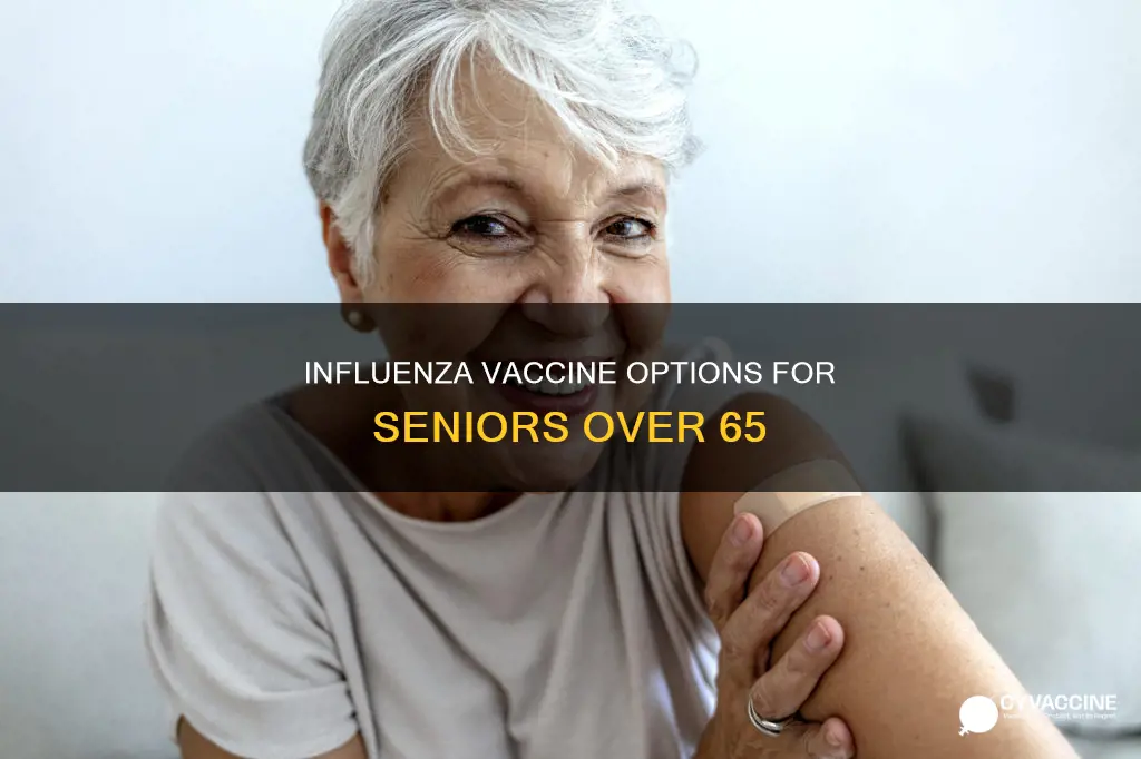which influenza vaccine is specifically approved for 65 and older