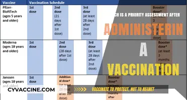 Post-Vaccination Priorities: Essential Assessment Steps for Optimal Patient Care