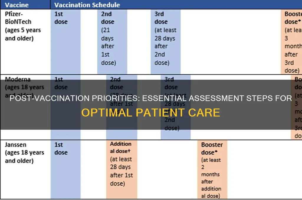 which is a priority assessment after administering a vaccination