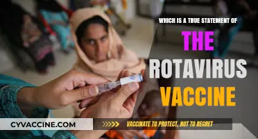 Rotavirus Vaccine: Debunking Myths and Confirming Its True Impact