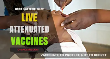 Live Attenuated Vaccines: Key Benefits for Long-Lasting Immunity Explained