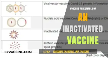 Understanding Inactivated Vaccines: A Key Example and Its Importance