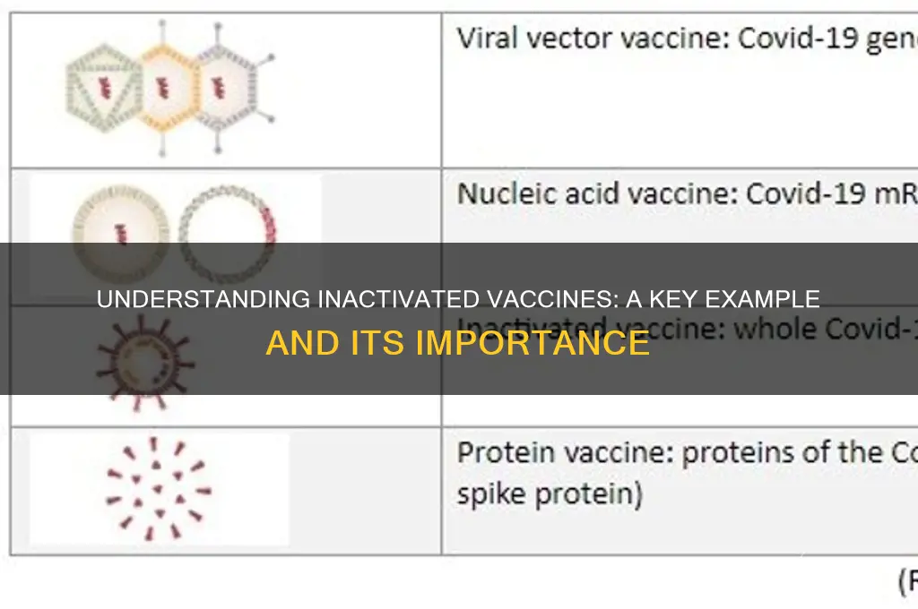 which is an example of an inactivated vaccine