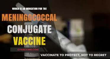 Meningococcal Conjugate Vaccine: Key Indications for Prevention and Protection
