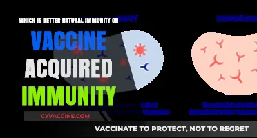 Natural vs. Vaccine Immunity: Which Offers Stronger, Longer Protection?