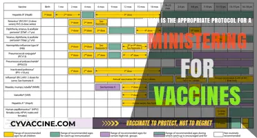 Effective Vaccine Ministering: Choosing the Right Protocol for Safe Administration