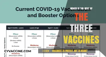 Comparing COVID-19 Vaccines: Which One Offers Optimal Protection?