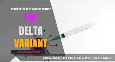 Top Vaccines Offering Optimal Protection Against the Delta Variant