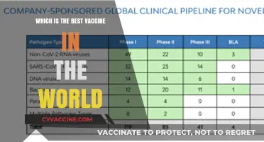 Global Vaccine Comparison: Which Shot Offers the Best Protection?