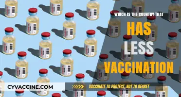 Exploring the Nation with the Lowest Vaccination Rates Globally