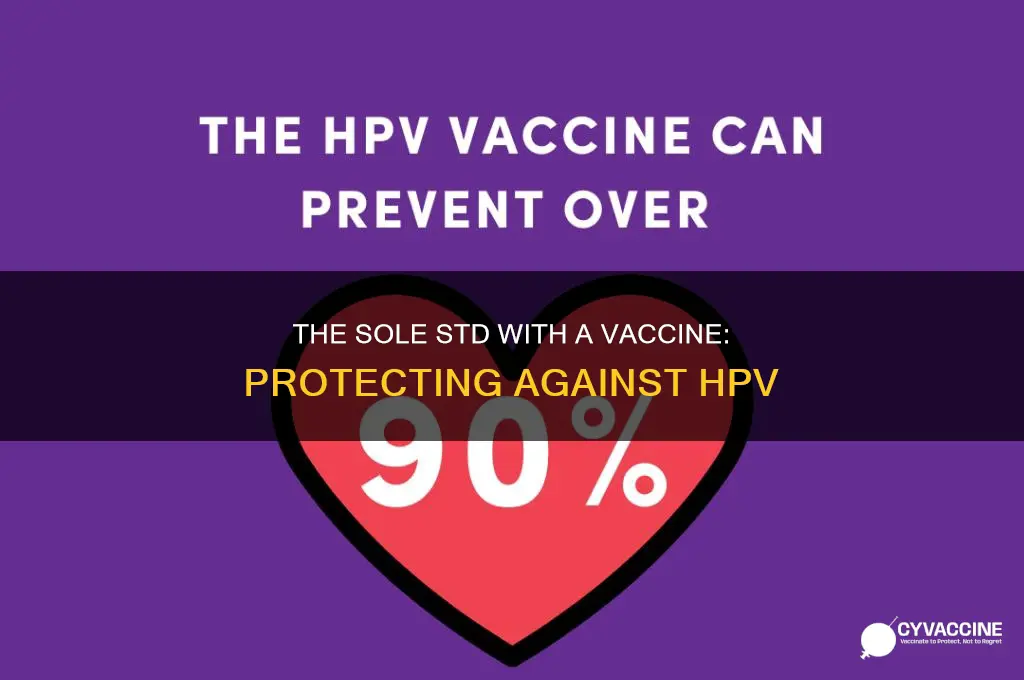 which is the only std that has a vaccine available