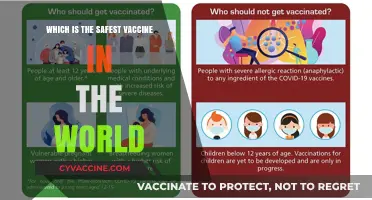 Exploring the World's Safest Vaccine: A Comprehensive Safety Analysis