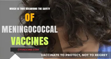 Meningococcal Vaccines: Debunking Myths and Confirming Safety Facts