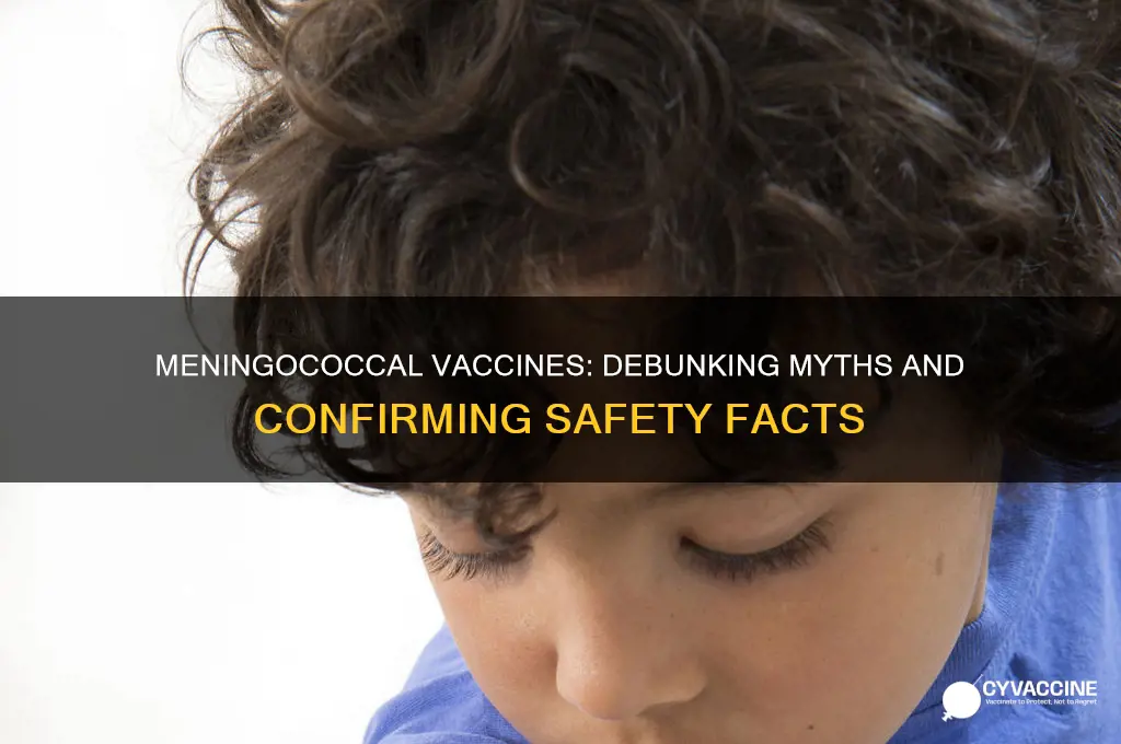 which is true regarding the safety of meningococcal vaccines