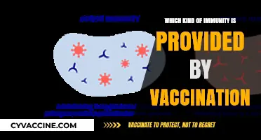 Vaccination: Unlocking Active, Long-Term Immunity Against Infectious Diseases