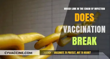 How Vaccines Disrupt the Chain of Infection: A Crucial Link