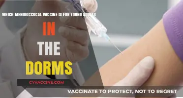 Protecting Dorm Life: The Right Meningococcal Vaccine for Young Adults