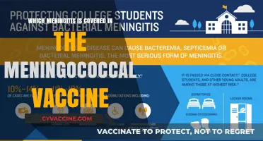 Meningococcal Vaccine: Which Meningitis Strains Does It Protect Against?