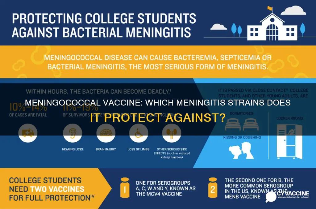which meningitis is covered in the meningococcal vaccine