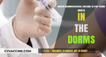 Protecting Dorm Life: The Best Meningococcal Vaccine for Young Adults