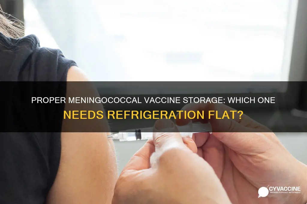 which meningococcal vaccine should be stored flat in the refrigerator