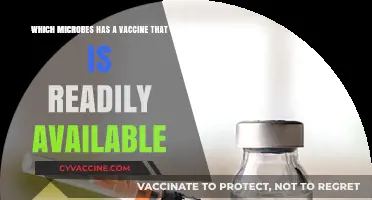 Vaccine-Ready Microbes: Exploring Readily Available Immunizations for Common Pathogens