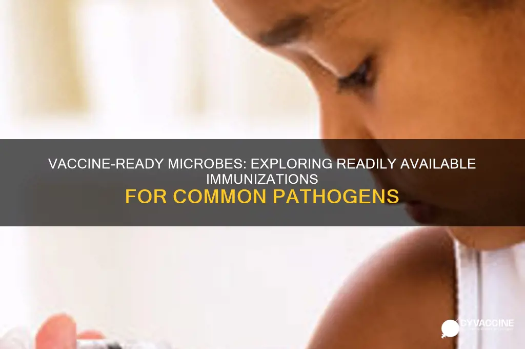 which microbes has a vaccine that is readily available