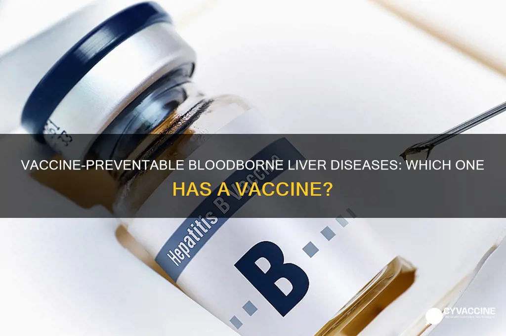 which of the bloodborne liver diseases has a vaccine