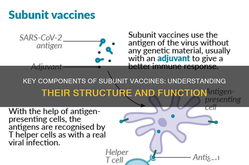 which of the following are components of subunit vaccines
