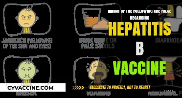 Debunking Myths: False Claims About the Hepatitis B Vaccine