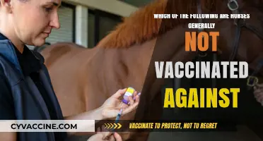 Uncommon Horse Vaccines: Diseases Horses Are Typically Not Immunized Against