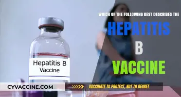 Hepatitis B Vaccine: What's the Best Description?
