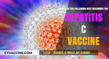 Hepatitis C Vaccine: What's the Best Description?