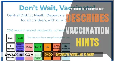 Understanding Vaccination Hints: Key Insights for Effective Immunization Strategies