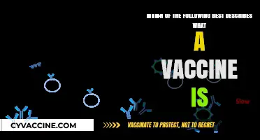 Understanding Vaccines: A Comprehensive Guide to Their Purpose and Function