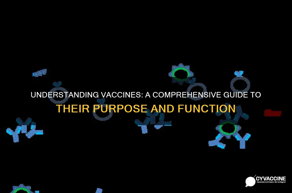 which of the following best describes what a vaccine is