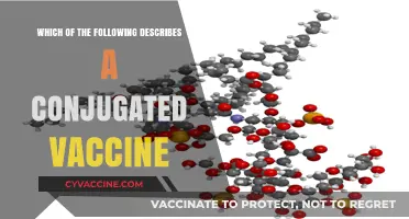 Understanding Conjugated Vaccines: Definition, Function, and Importance Explained