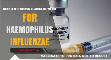 Understanding the Haemophilus Influenzae Vaccine: Key Features and Benefits
