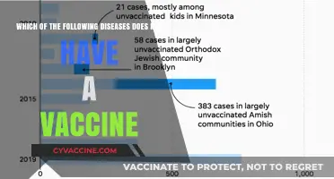 Diseases Without Vaccines: Surprising Conditions Still Lacking Prevention