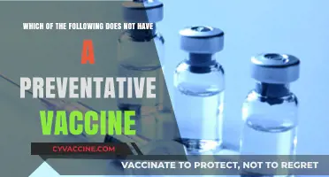 Unprotected Diseases: Which Conditions Lack Preventative Vaccines?