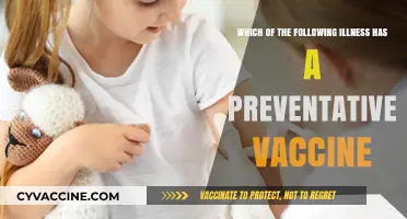 Preventable Diseases: Which Illnesses Have Effective Vaccines Available?