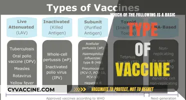Understanding Basic Vaccine Types: A Simple Guide to Immunization