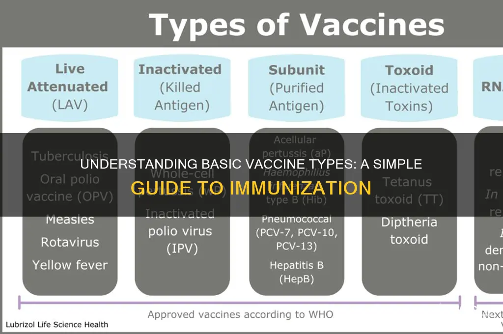 which of the following is a basic type of vaccine